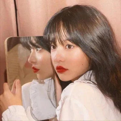 狮子彻夜未眠