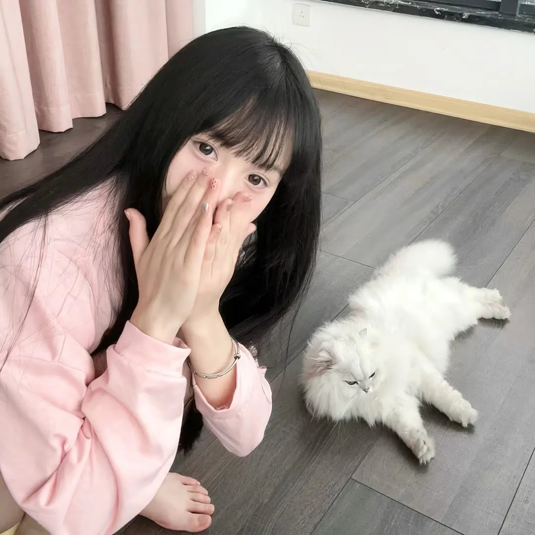 燕子